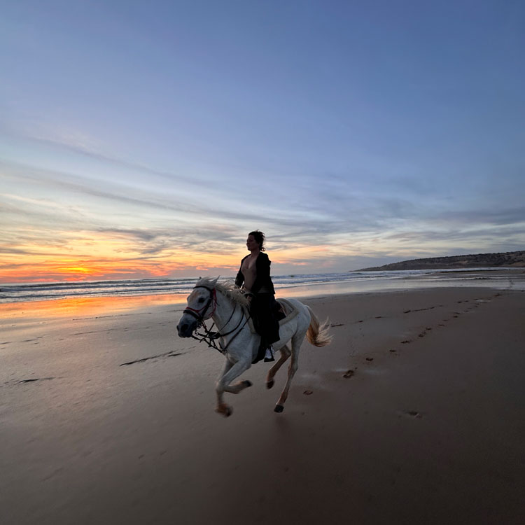 Balade à cheval au soleil couchant et rituel du thé